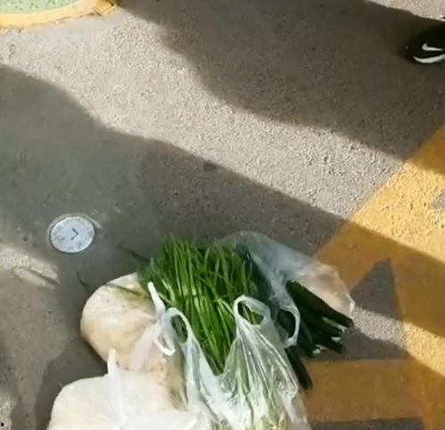 青菜爆料视频大全集最新,揭秘娱乐圈幕后真相 第3张 青菜爆料视频大全集最新,揭秘娱乐圈幕后真相 第3张